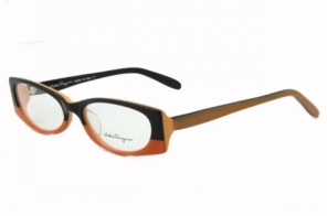Discount Ferragamo Plain Black Orange Eyewear